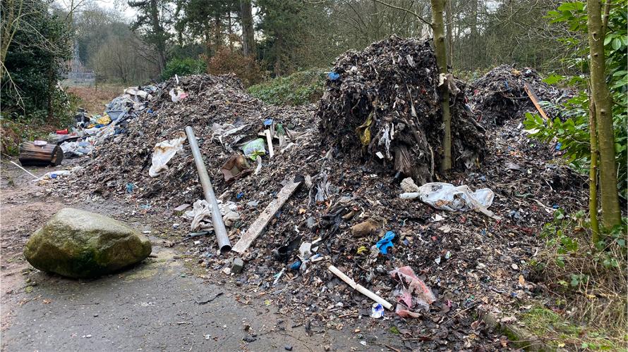 Wide spread litter in a woodland area